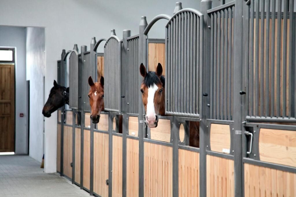 Sport Complex Trakiets