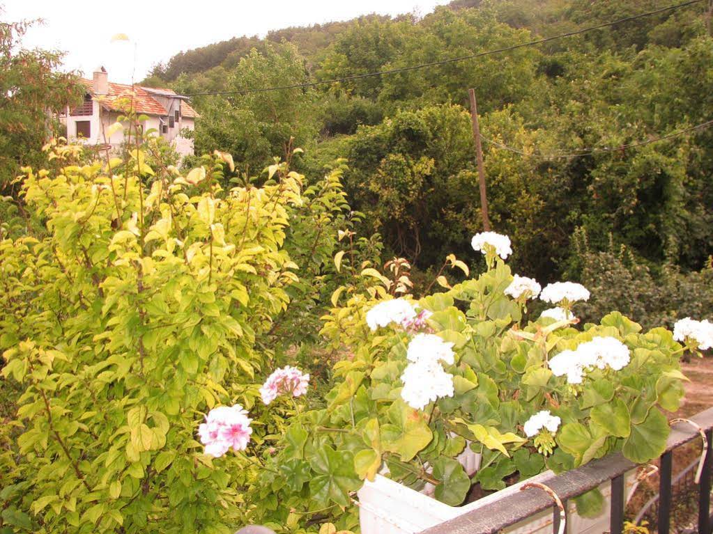 Guest House Yanakievi