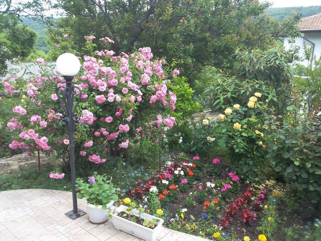Guest House Yanakievi