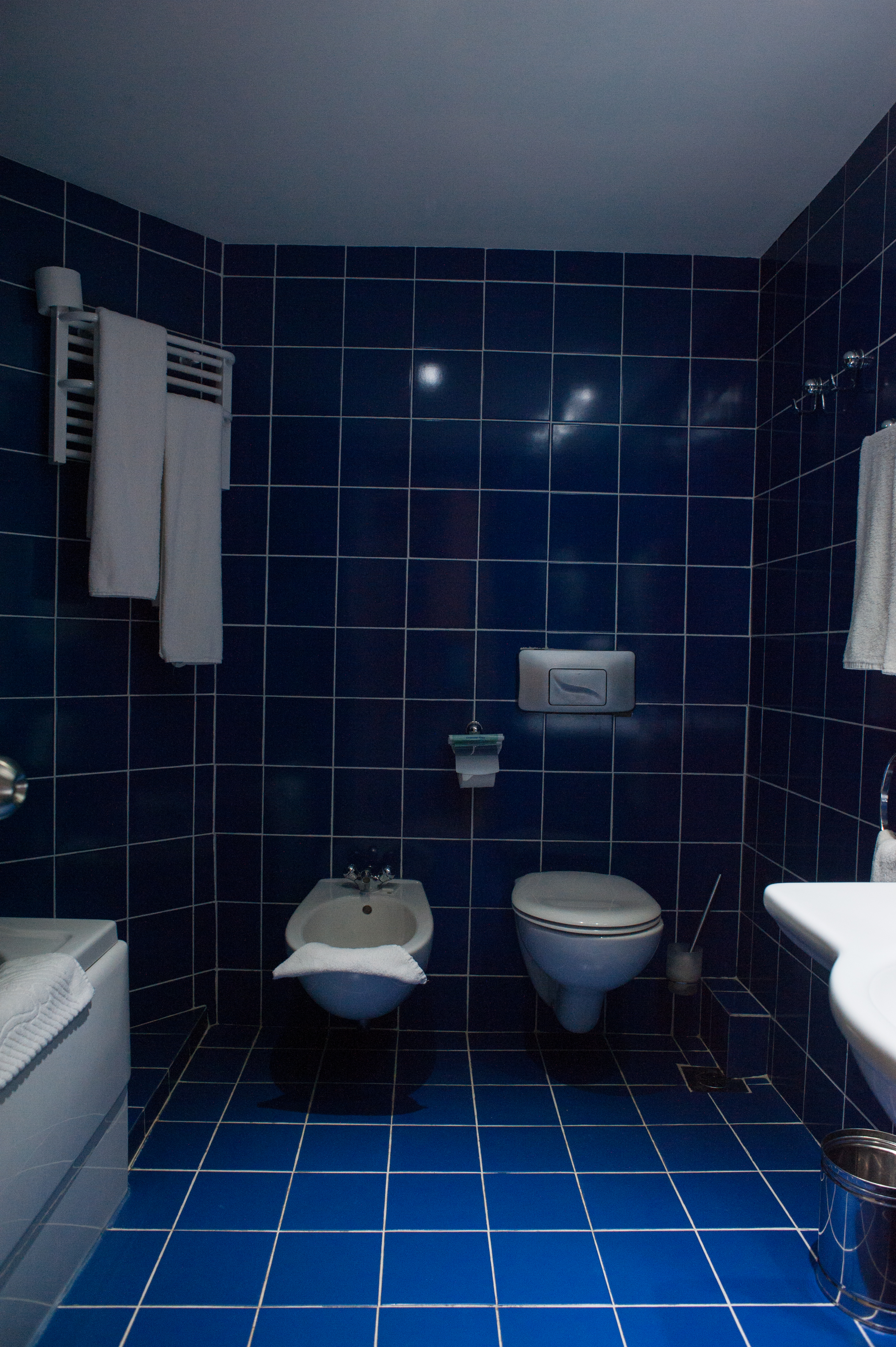 Hotel Lilia