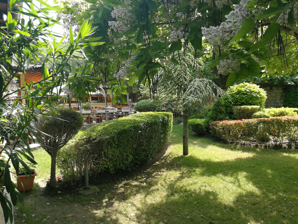 Ajax Guest House