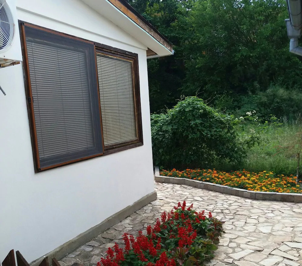 Ajax Guest House
