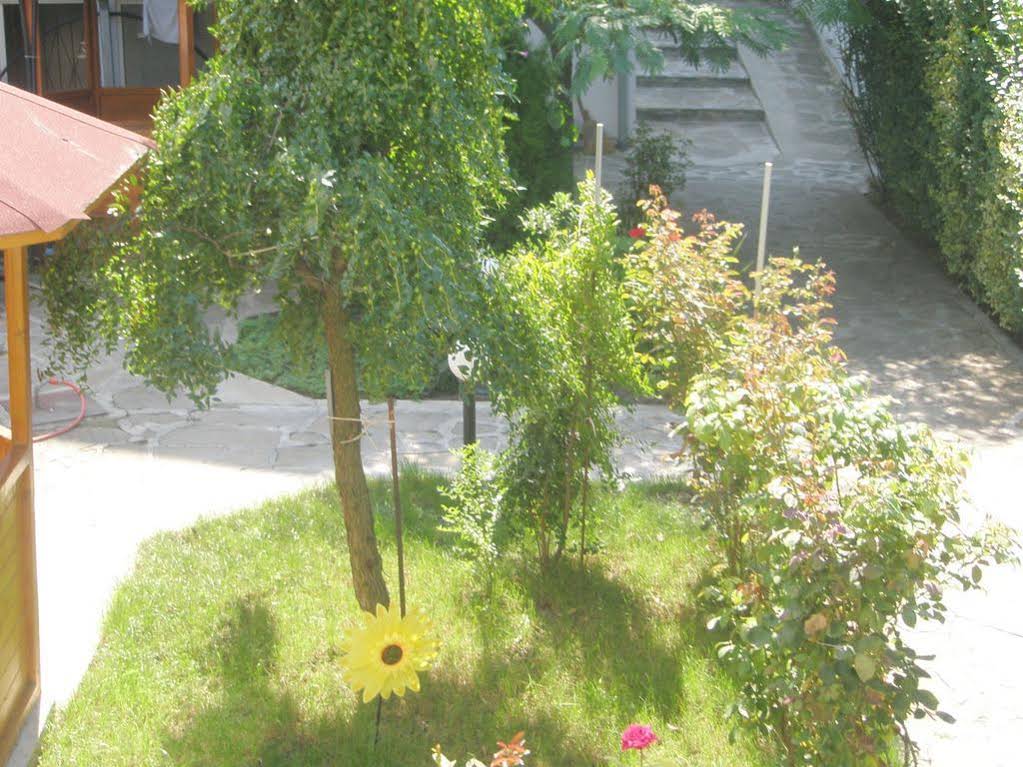 Hotel Morski Dar