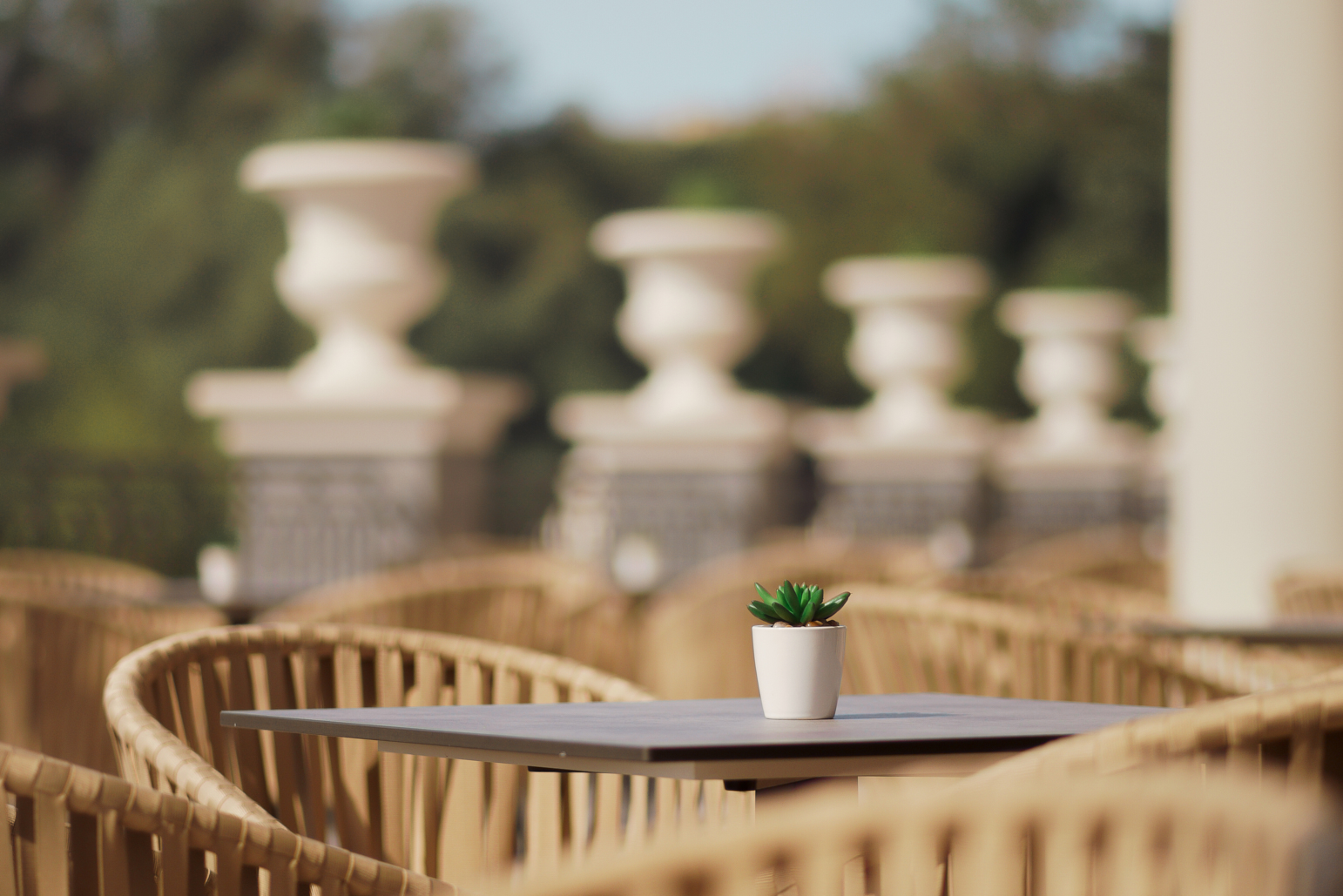 Astor Garden Hotel