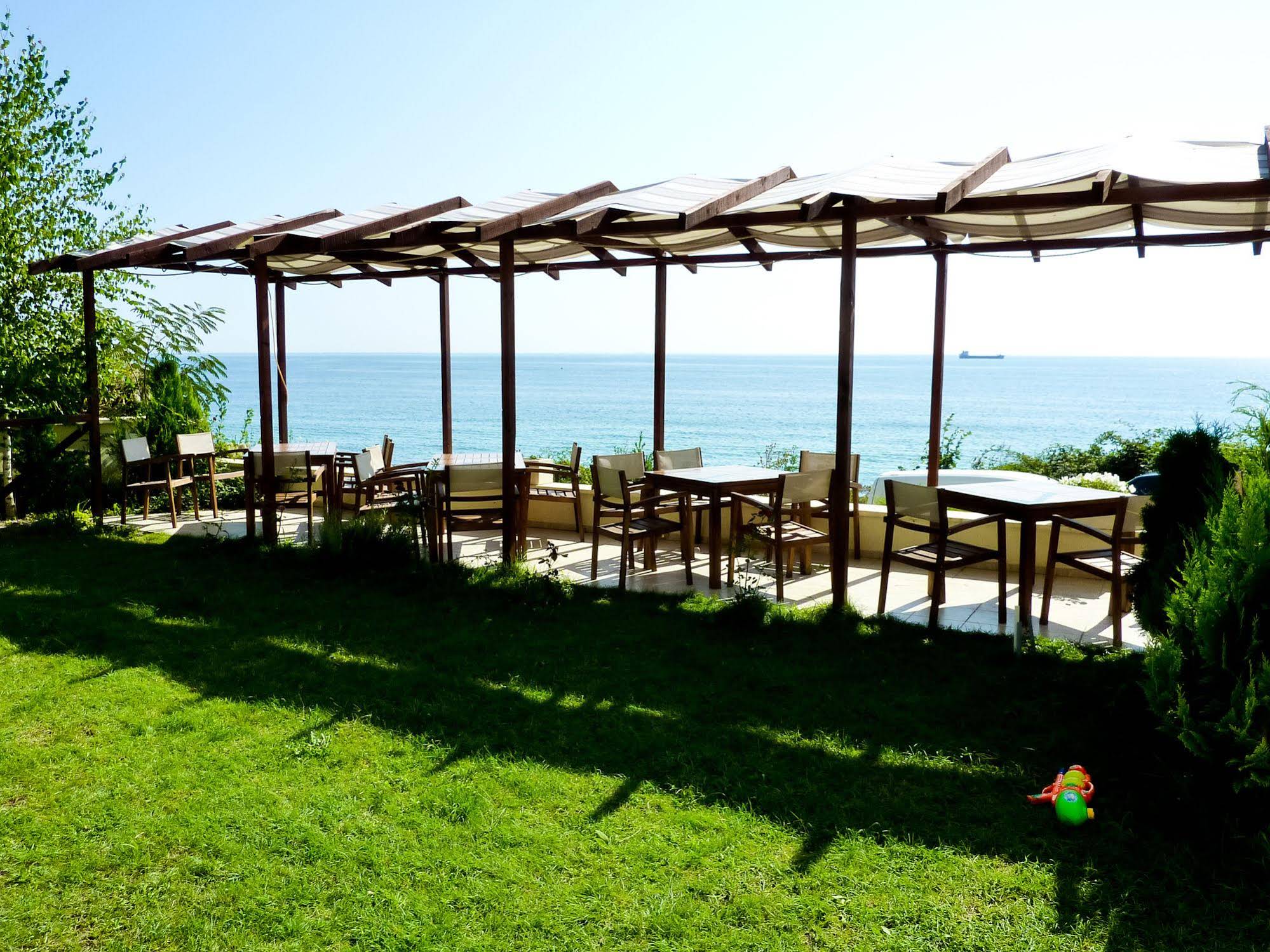 Albizia ESI Bulgaria