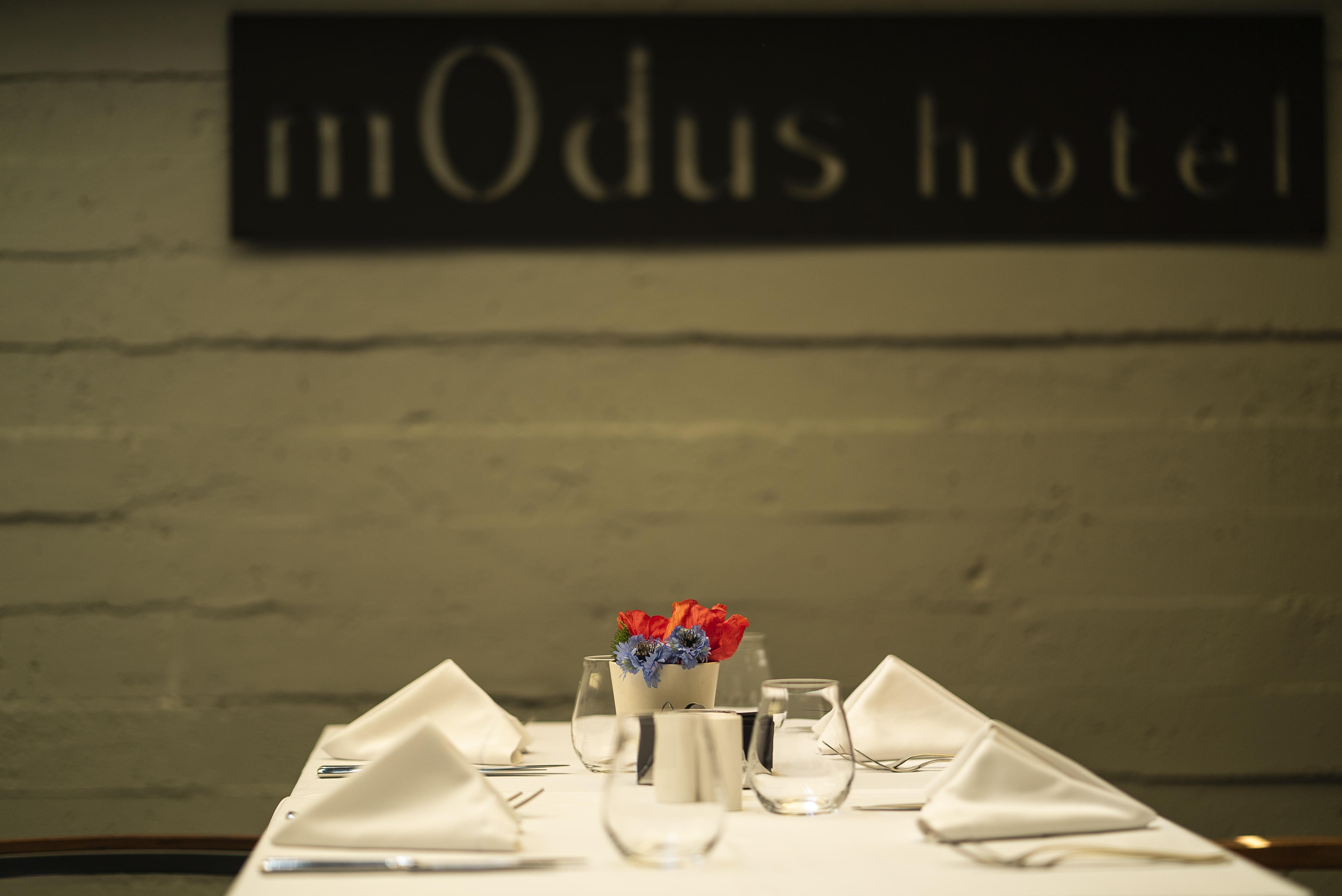 mOdus