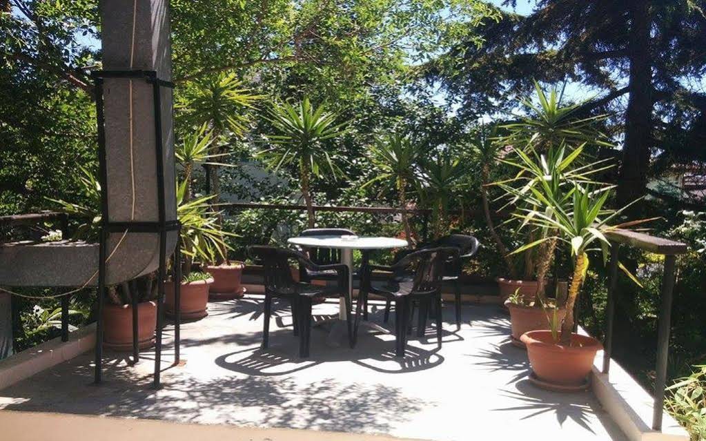 X Hostel Varna