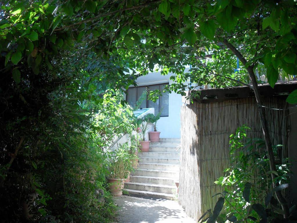 X Hostel Varna