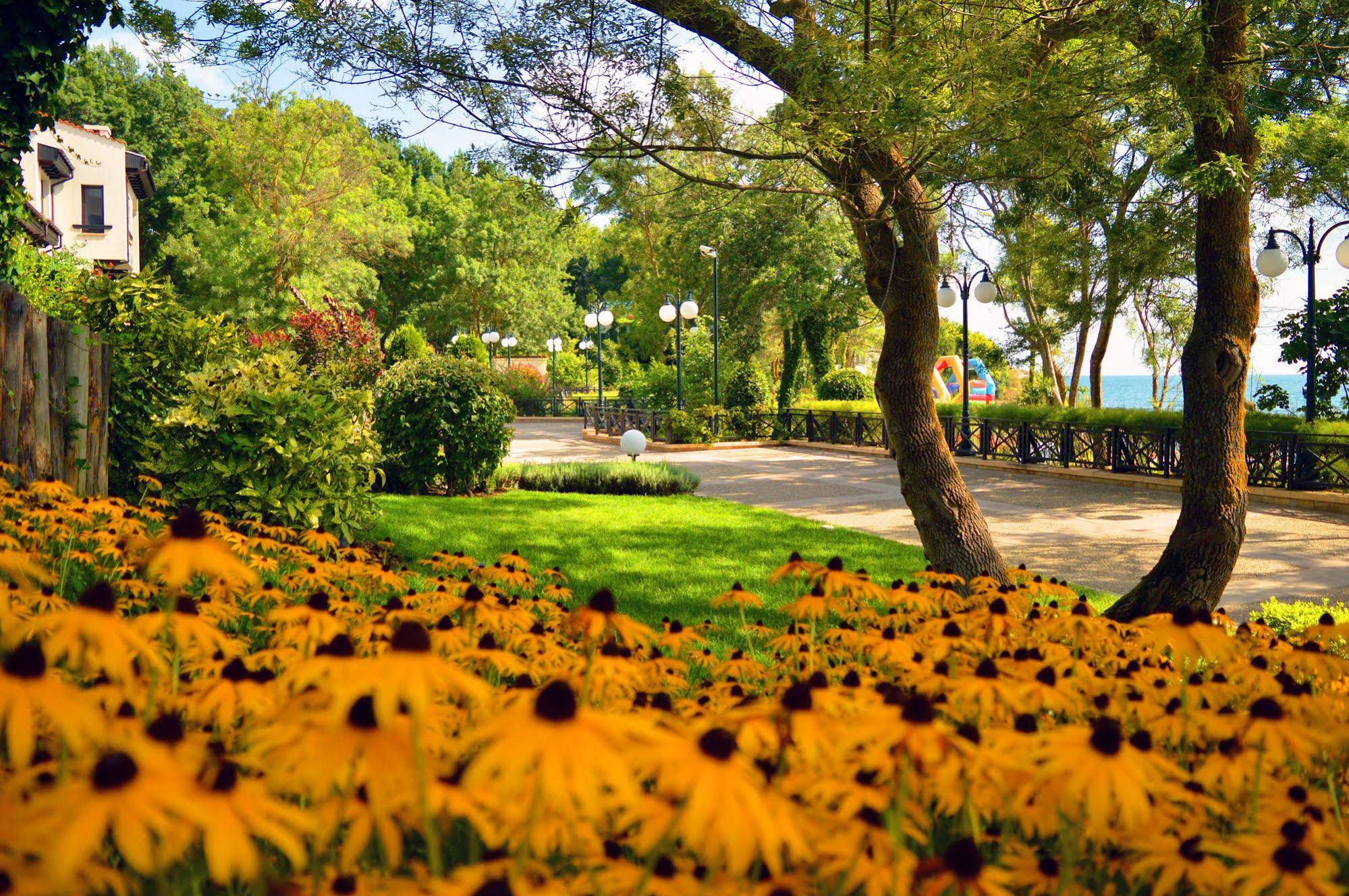 Oasis Resort & Spa