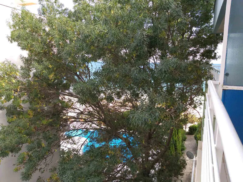 Perla Apartments