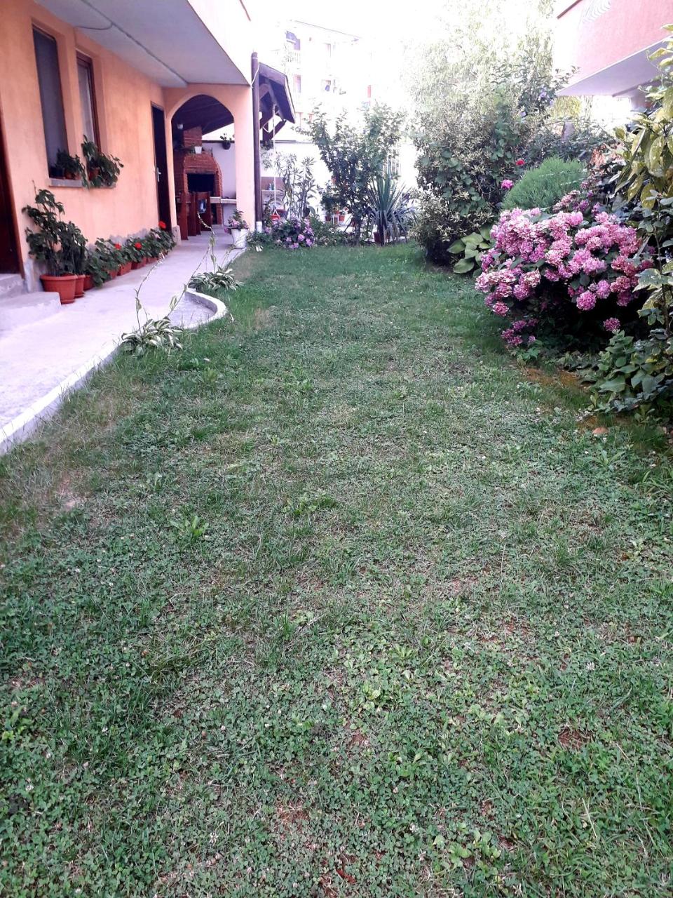 Guest House Ranuli