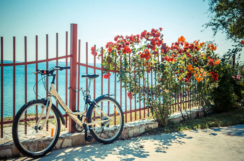 Grand Resort Complex