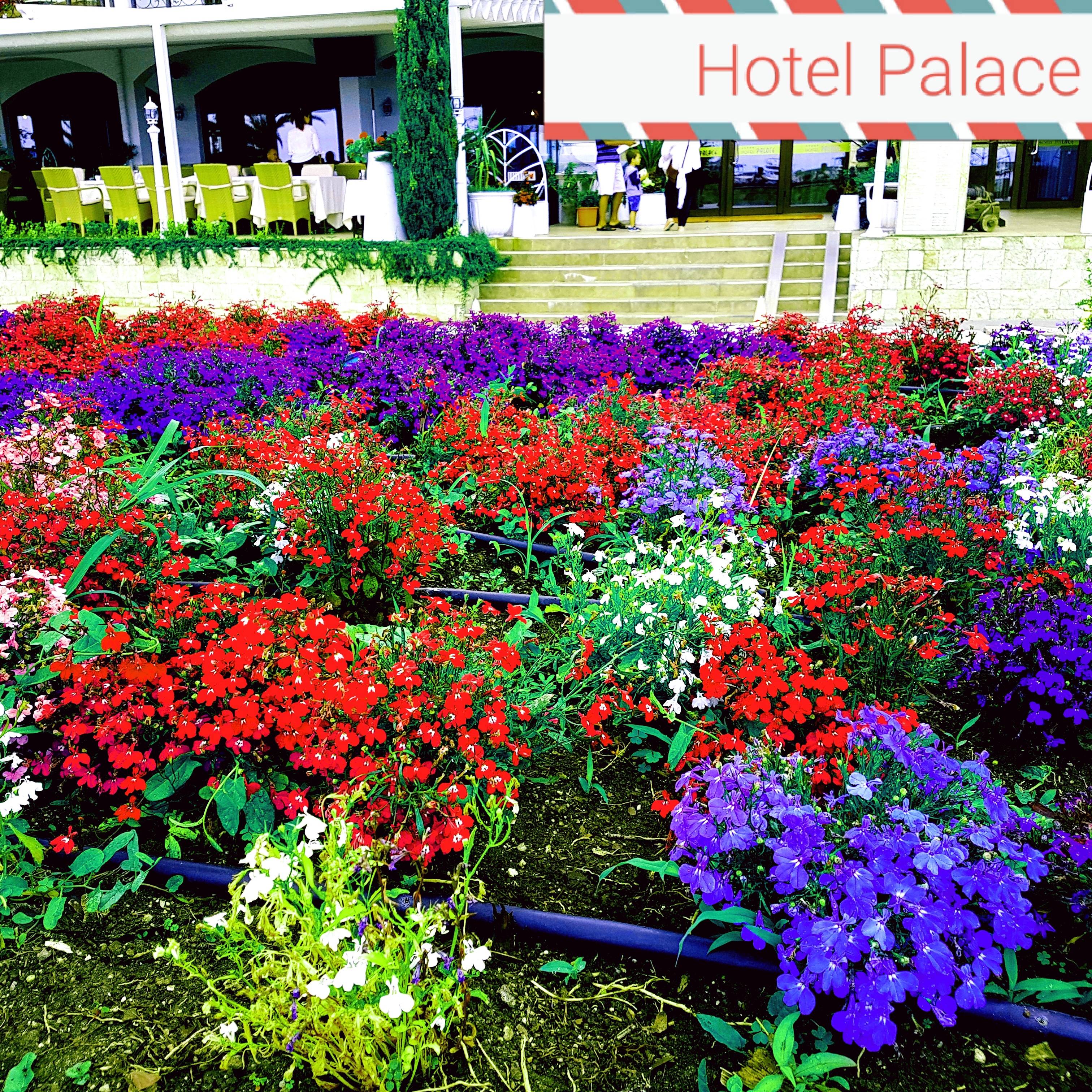 Hotel Palace Marina Dinevi