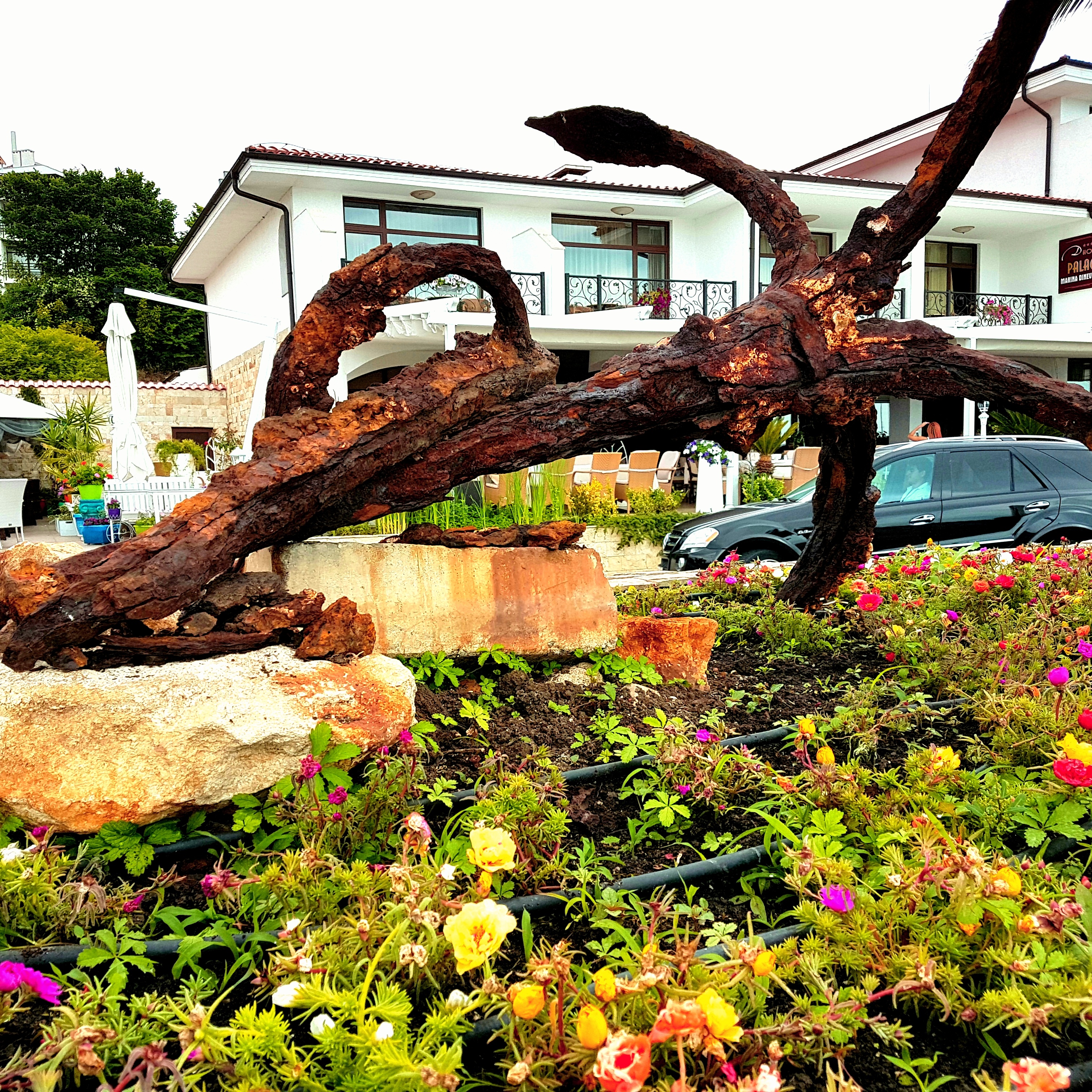 Hotel Palace Marina Dinevi