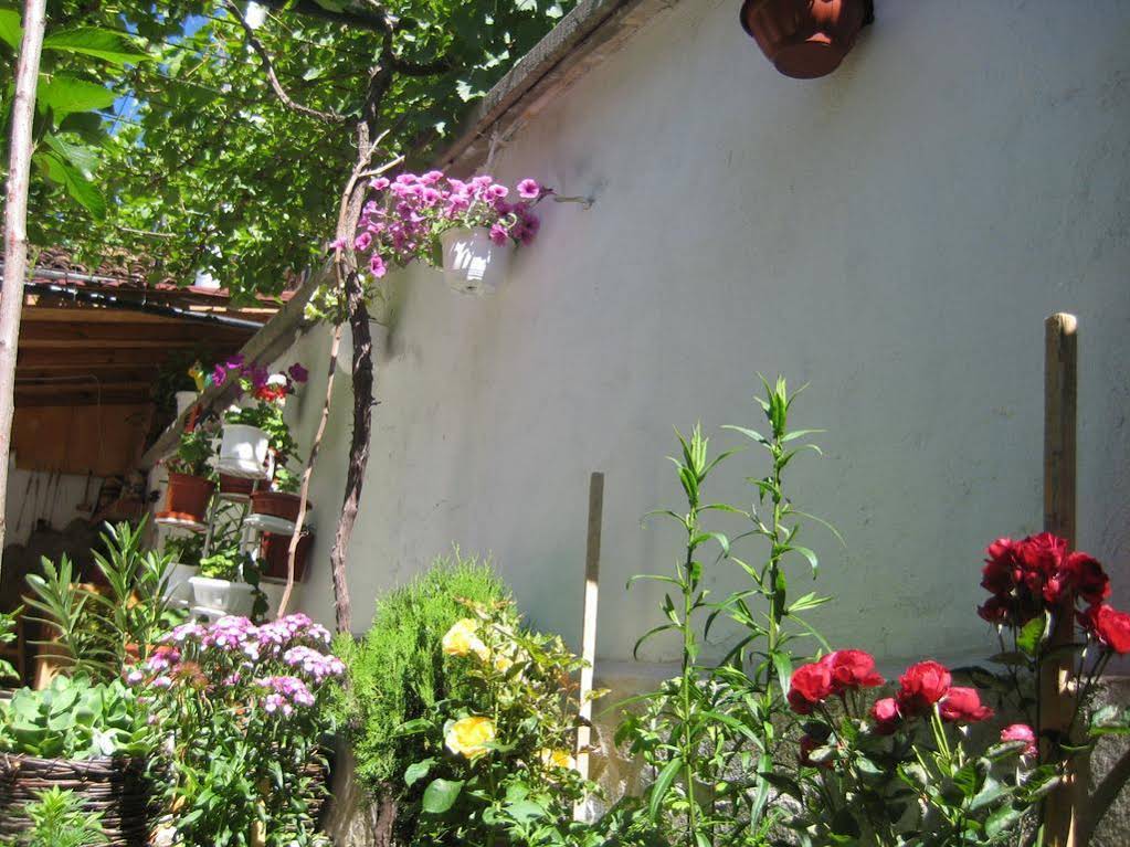 Aseva House Family Hotel
