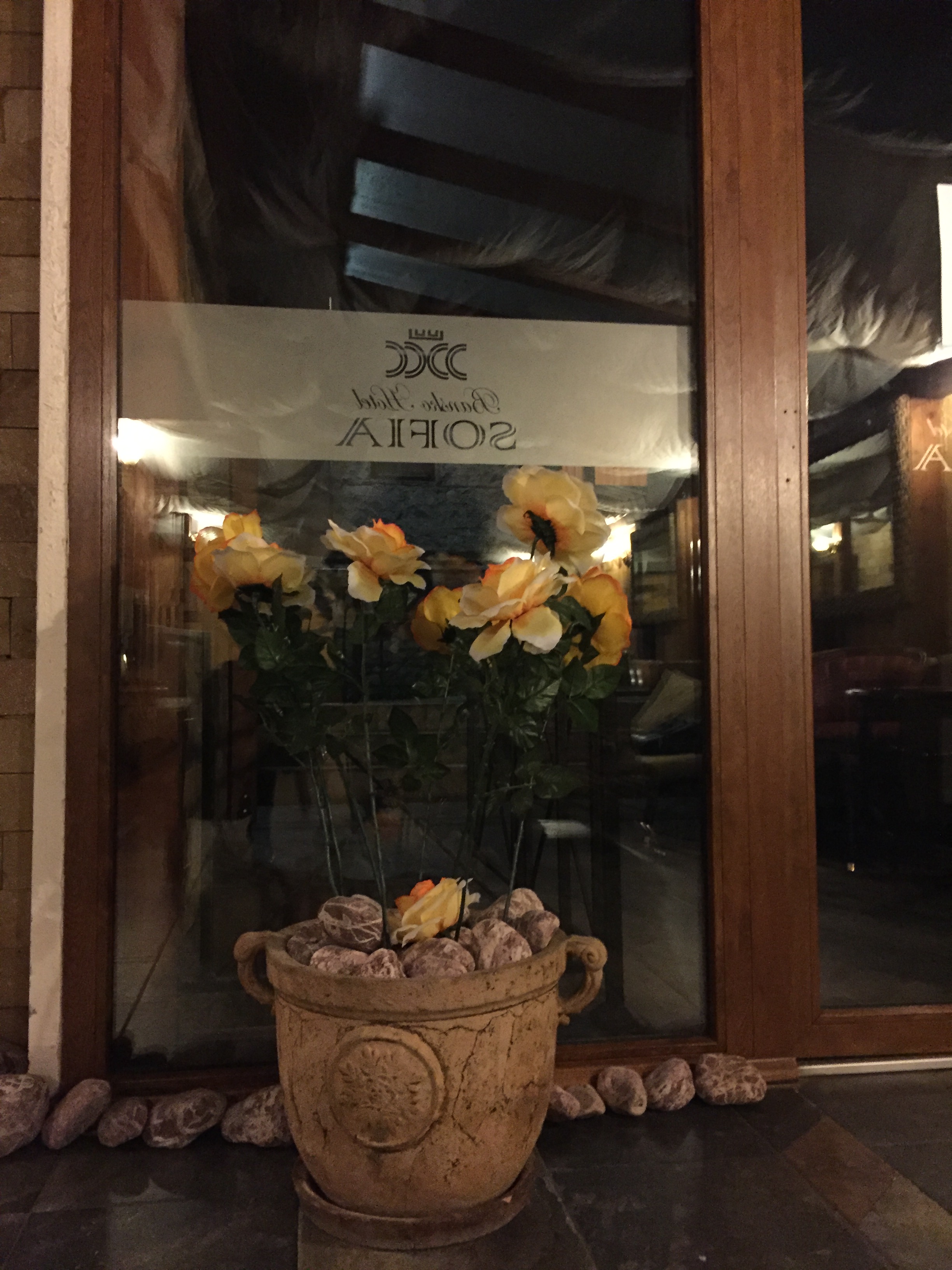 Hotel Asteri Bansko