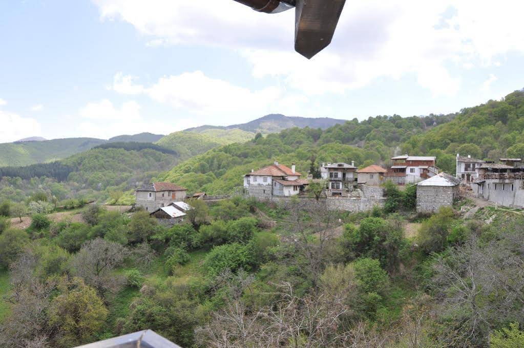 Zlatinovi Houses