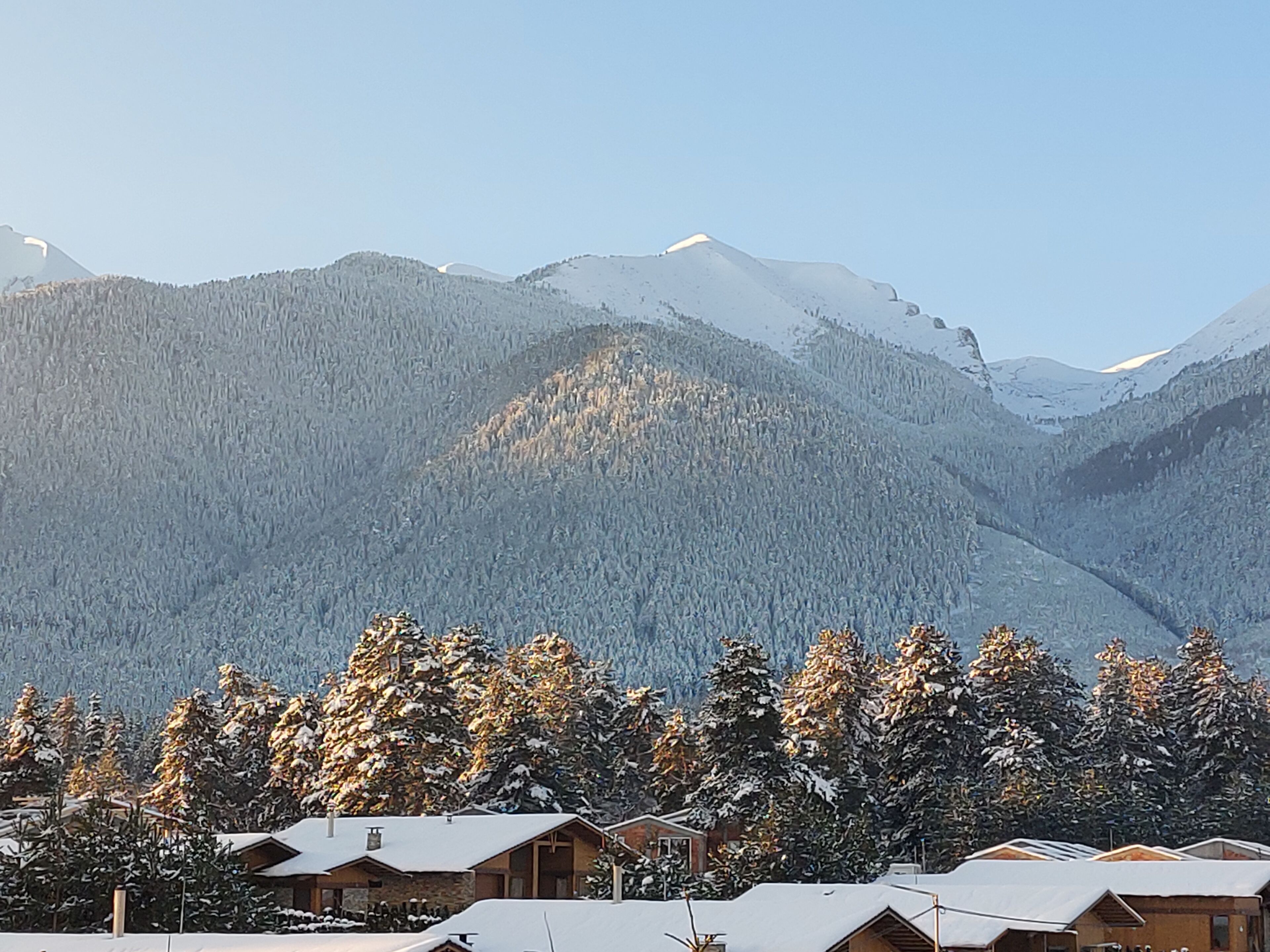 Local Stay Hotel, BW Signature Collection