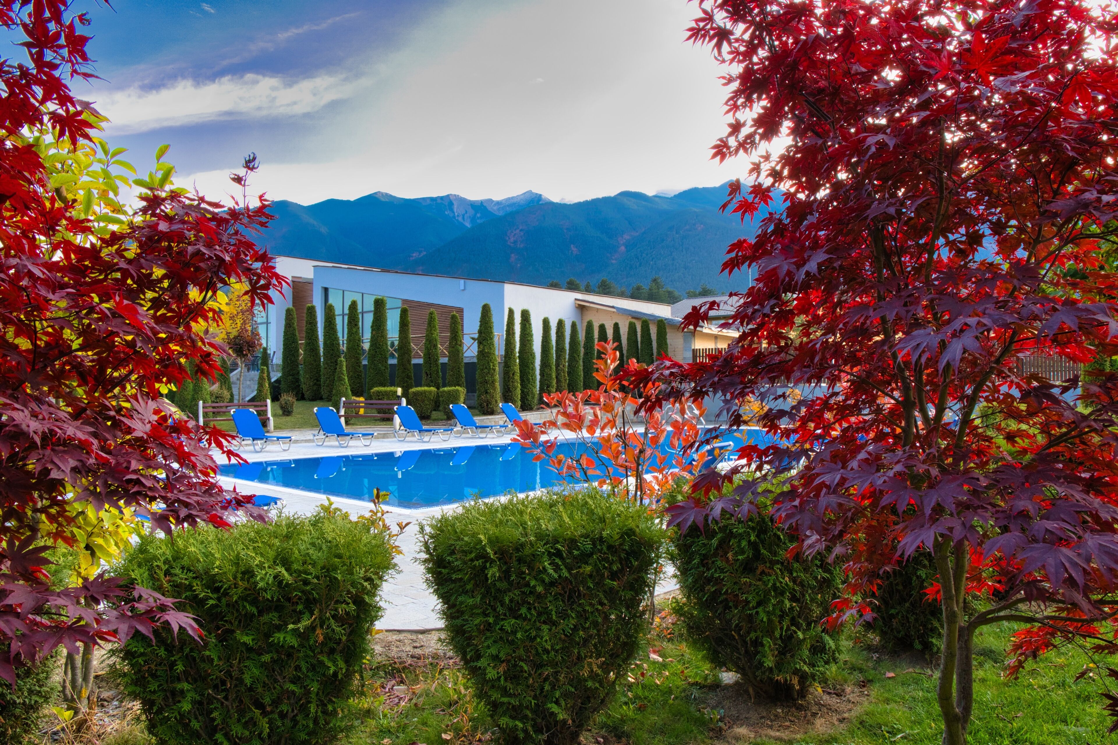 Local Stay Hotel, BW Signature Collection