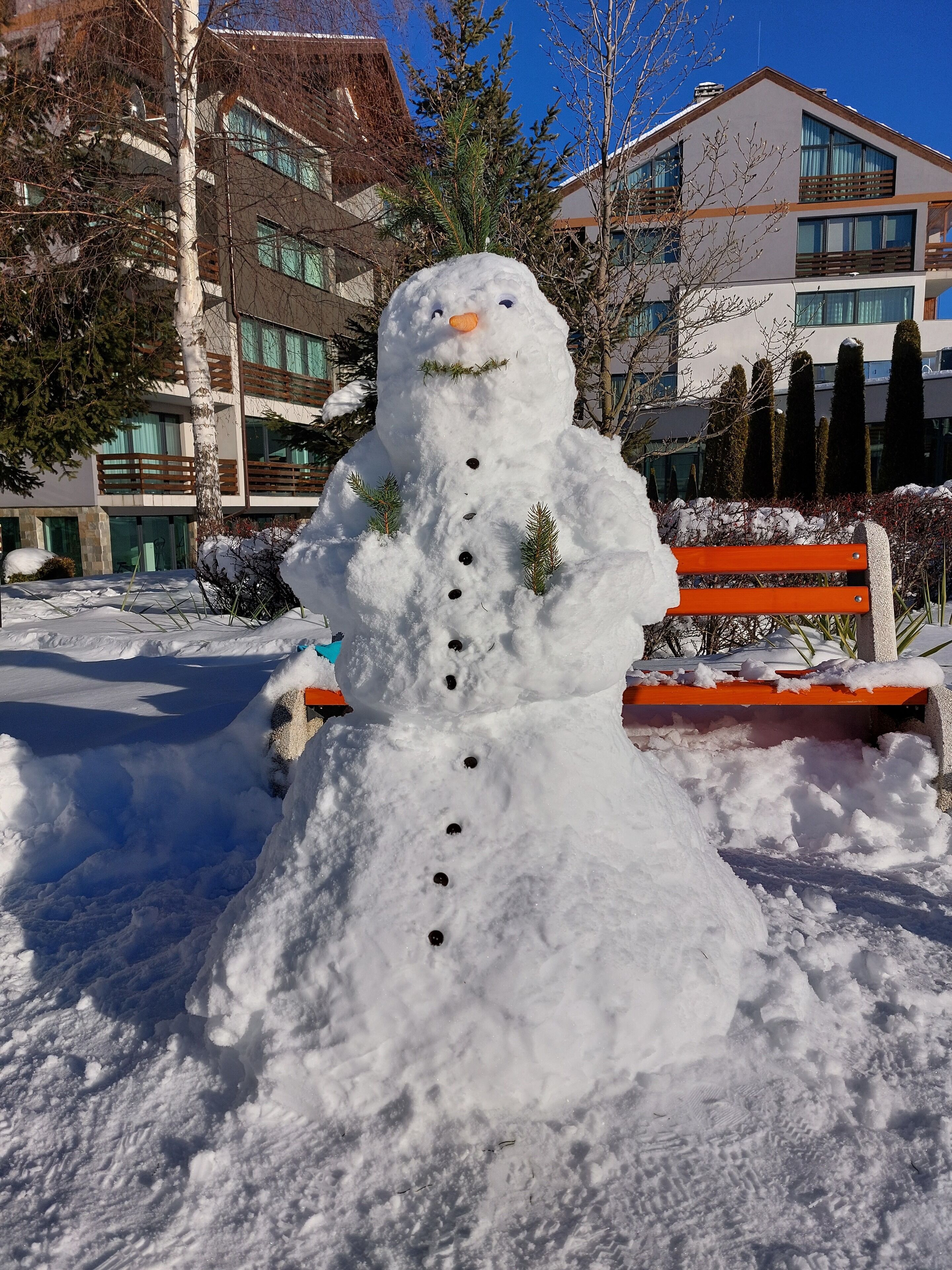 Local Stay Hotel, BW Signature Collection