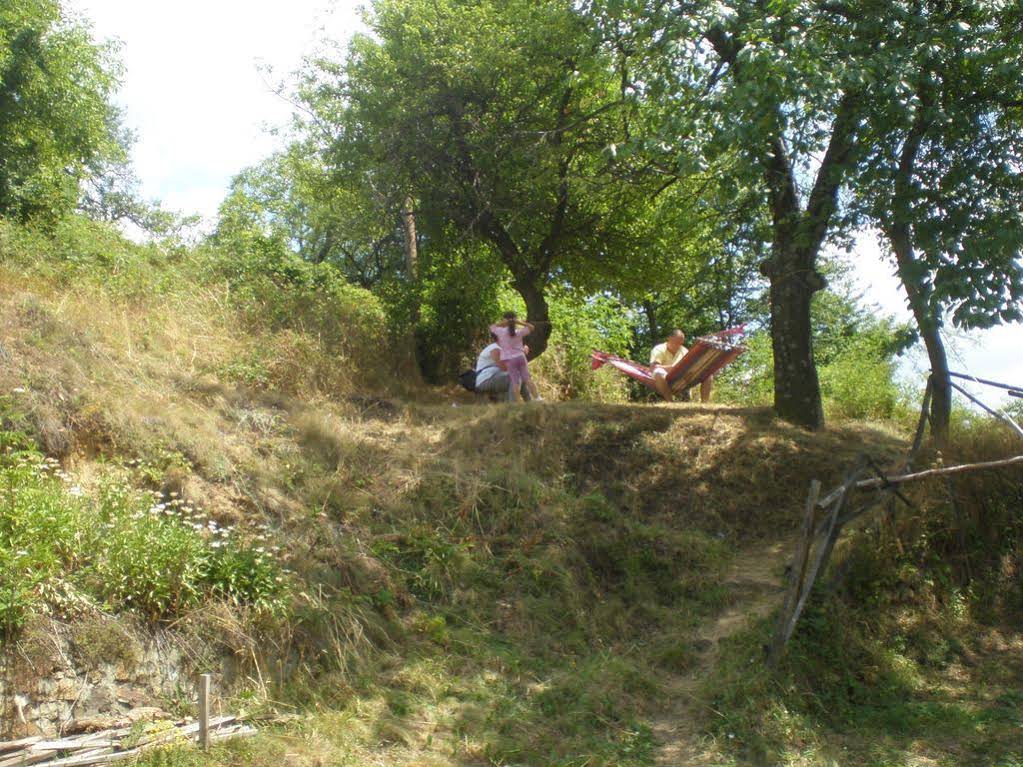 Erendgikov's House