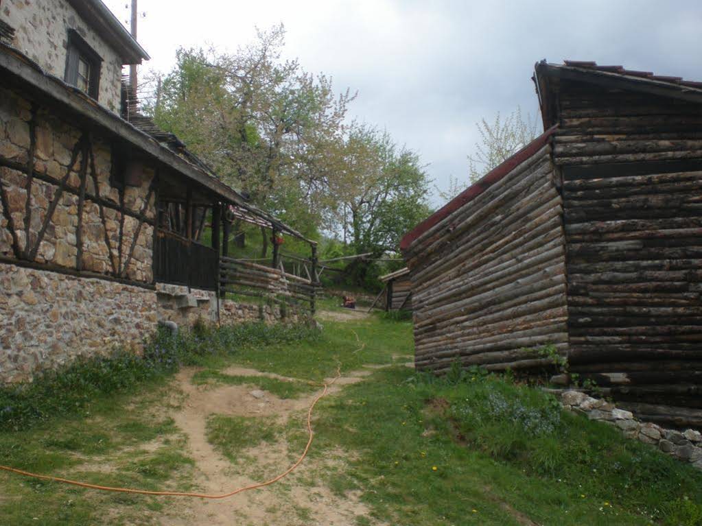 Erendgikov's House