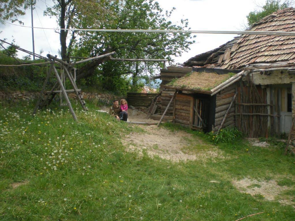 Erendgikov's House