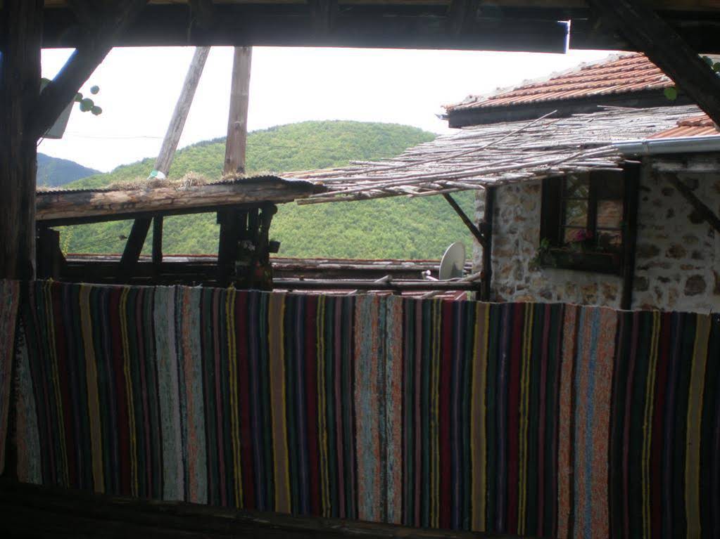 Erendgikov's House