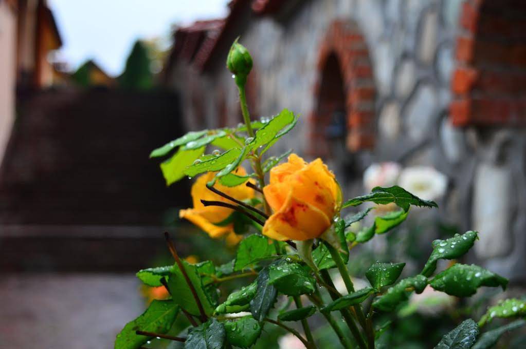Hotel Krusharskata Kashta