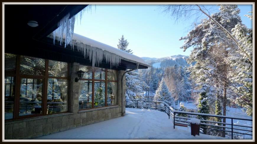 Hotel Bor