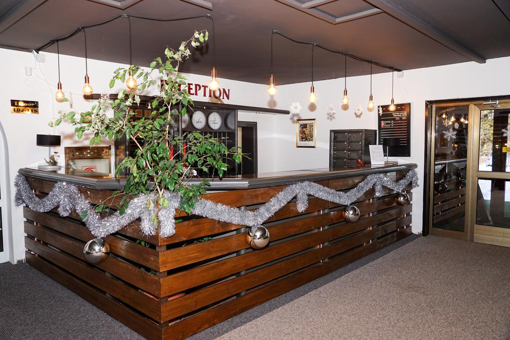 Hotel Bor