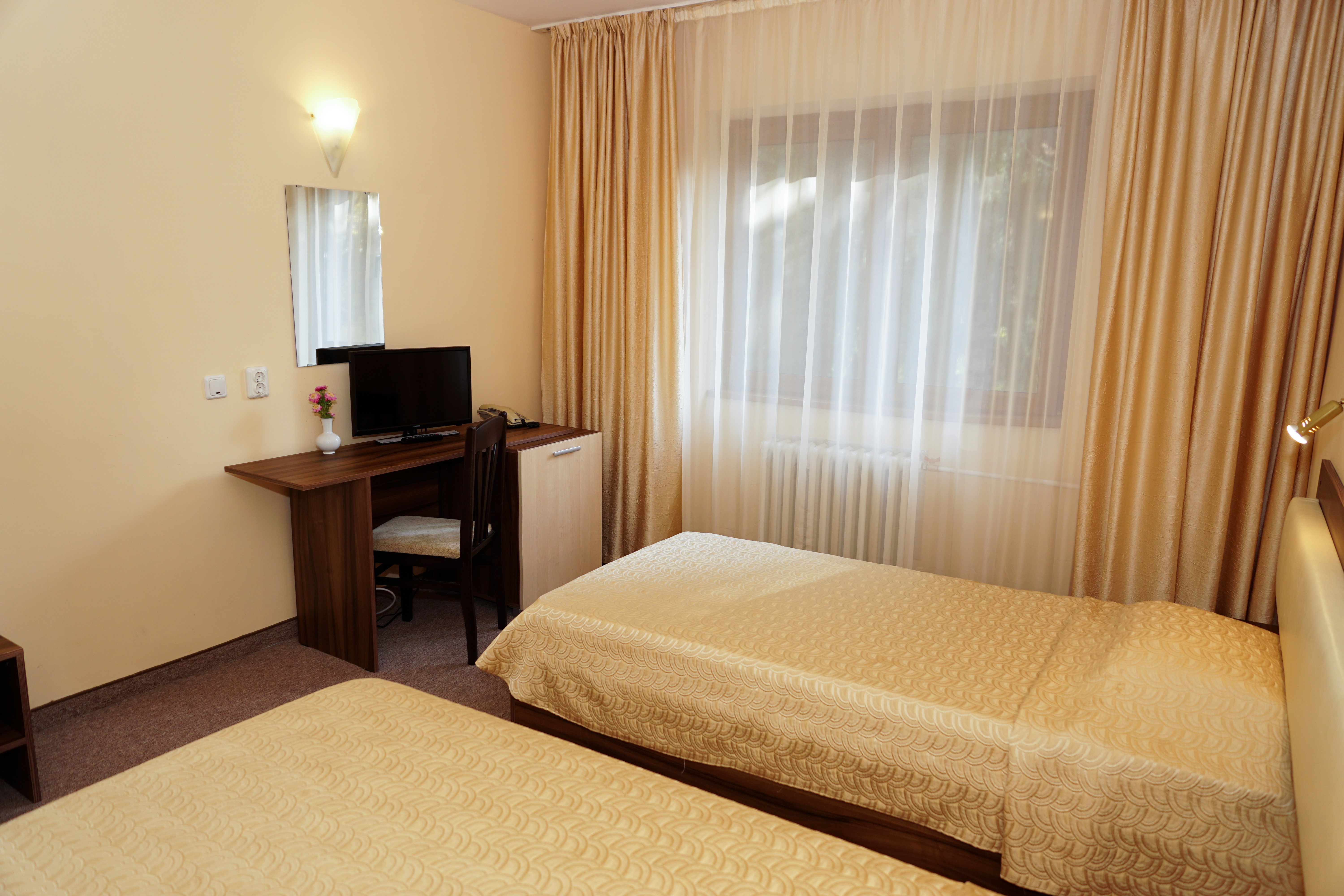 Hotel Bor