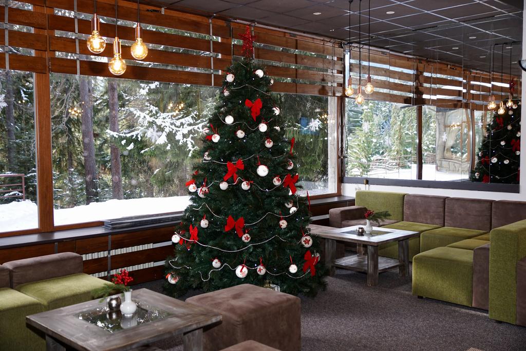 Hotel Bor
