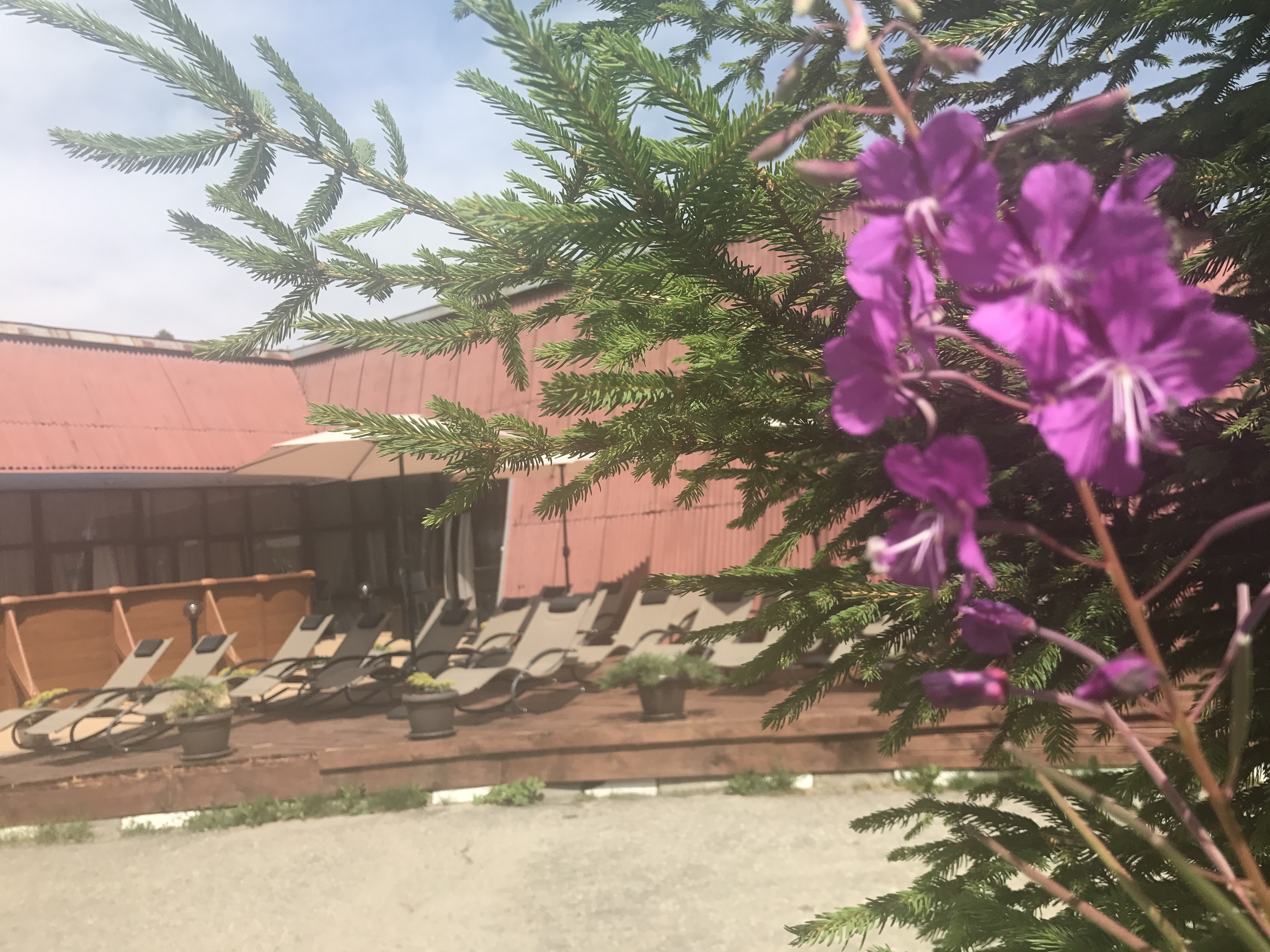 Hotel Moura