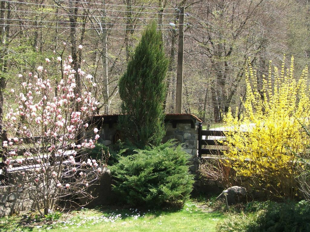 Klimasha House