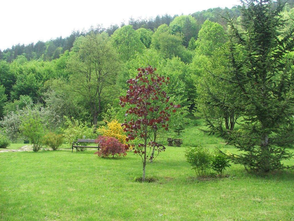 Klimasha House