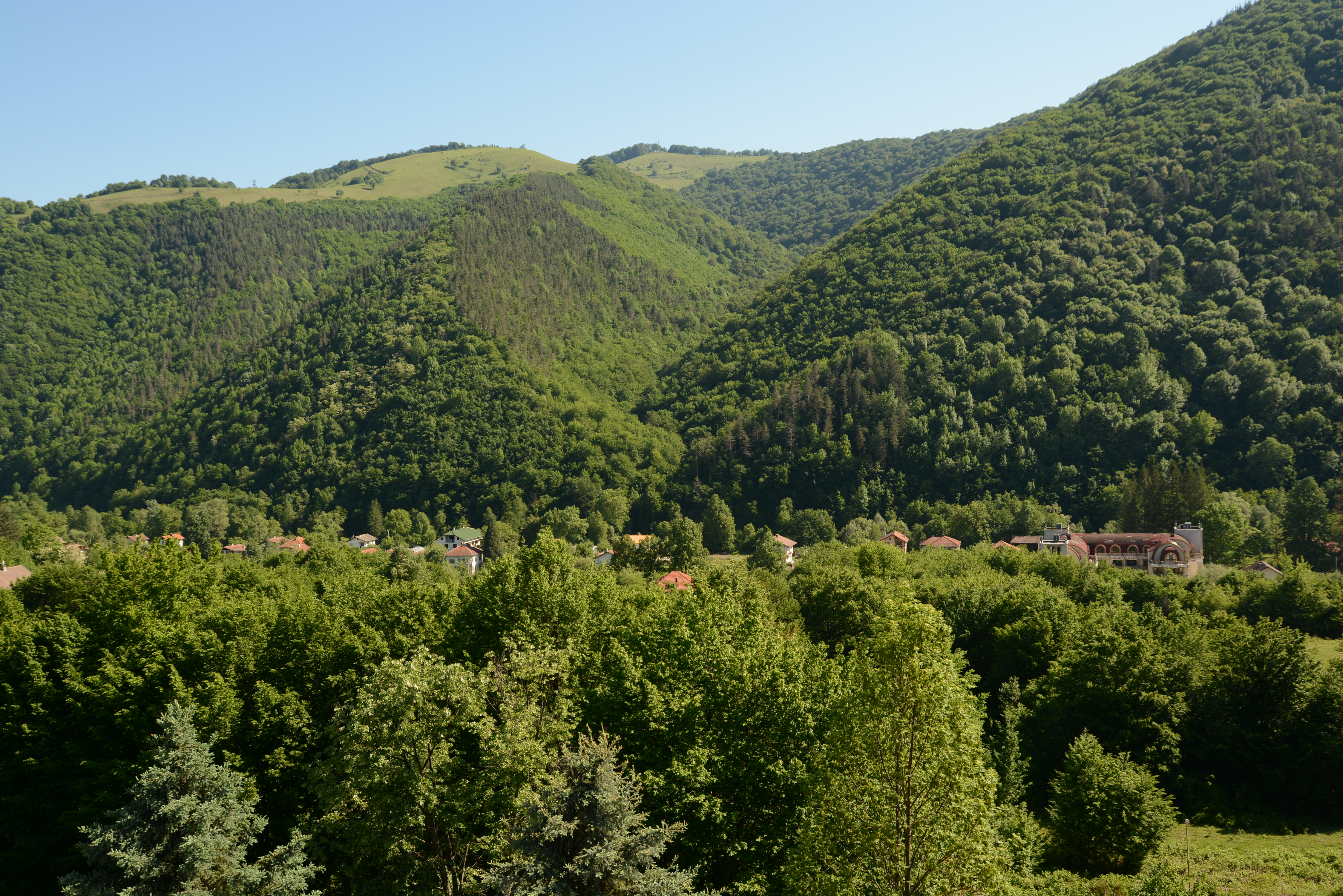 Park Hotel Ribaritsa