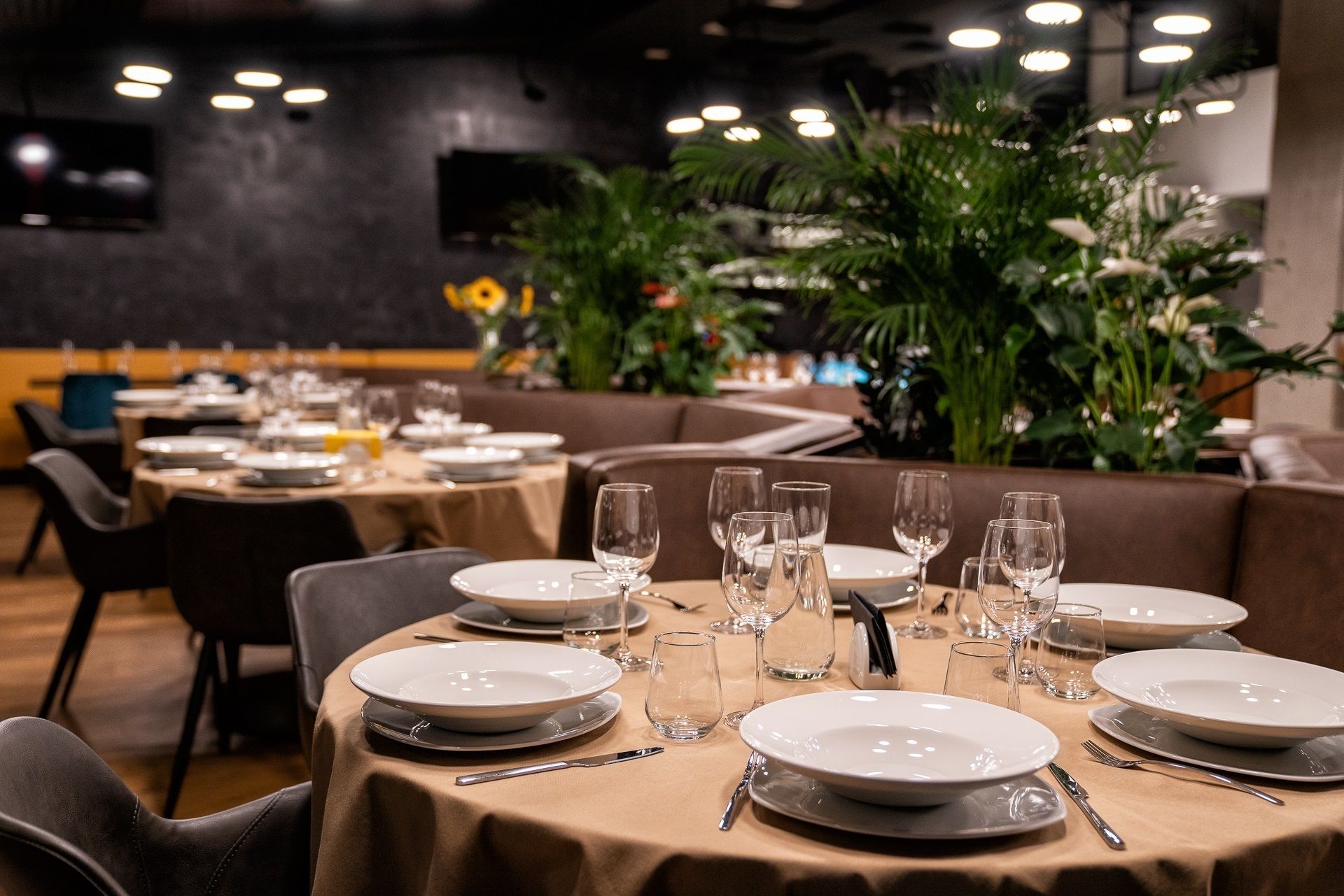 Adella Boutique Apartments
