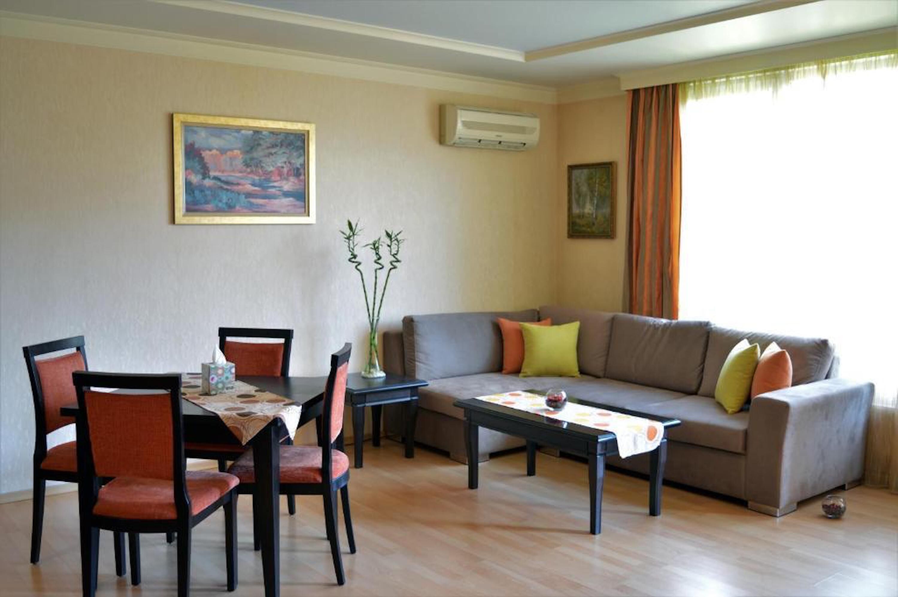 Aparthouse Borovo