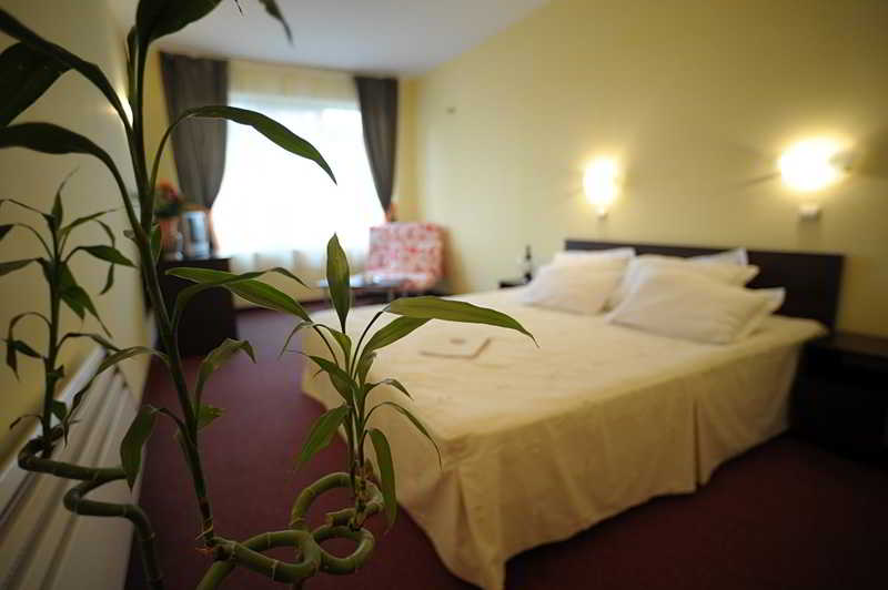 Hotel Alexander