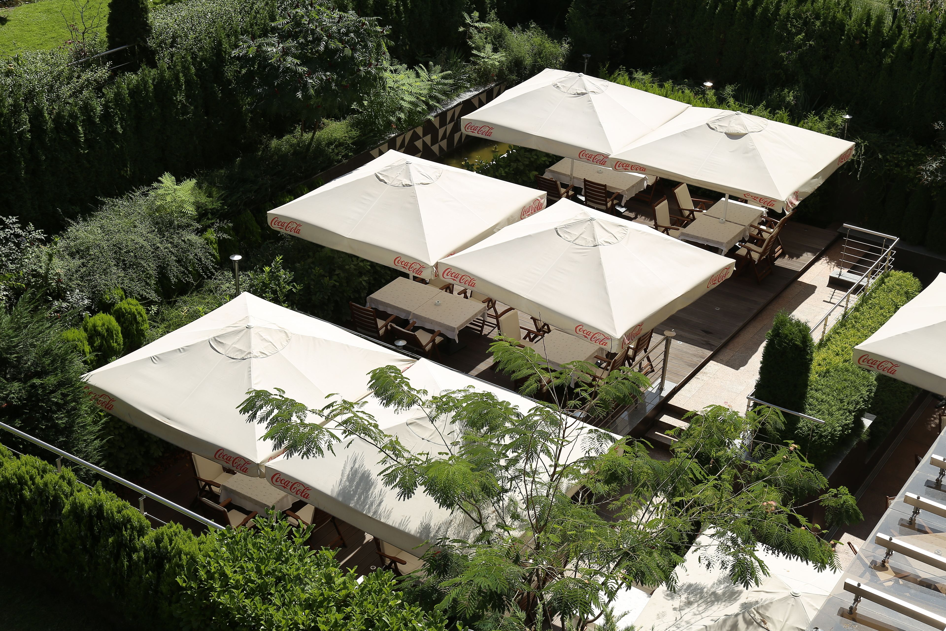 Olives City Hotel