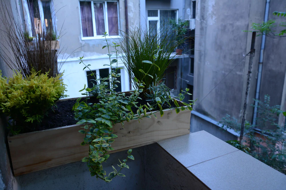Peter Pan Hostel