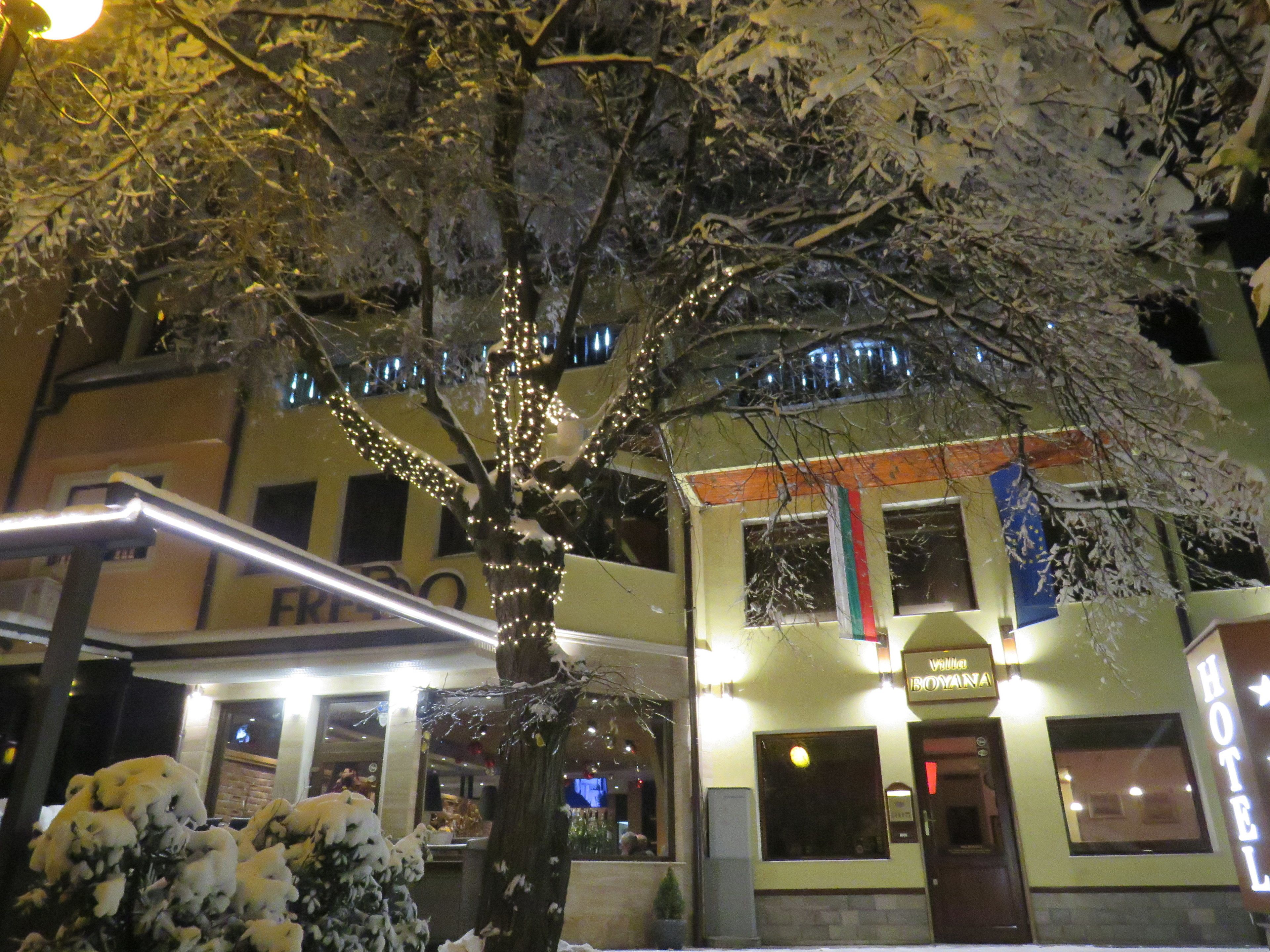 Villa Boyana