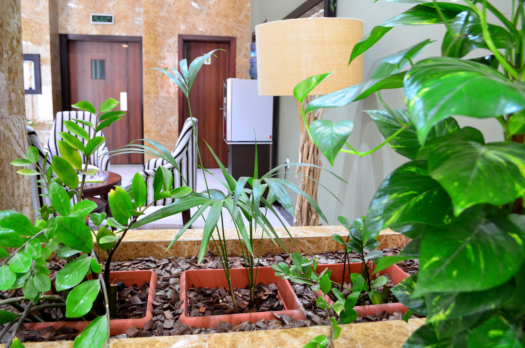 Haven Apartment