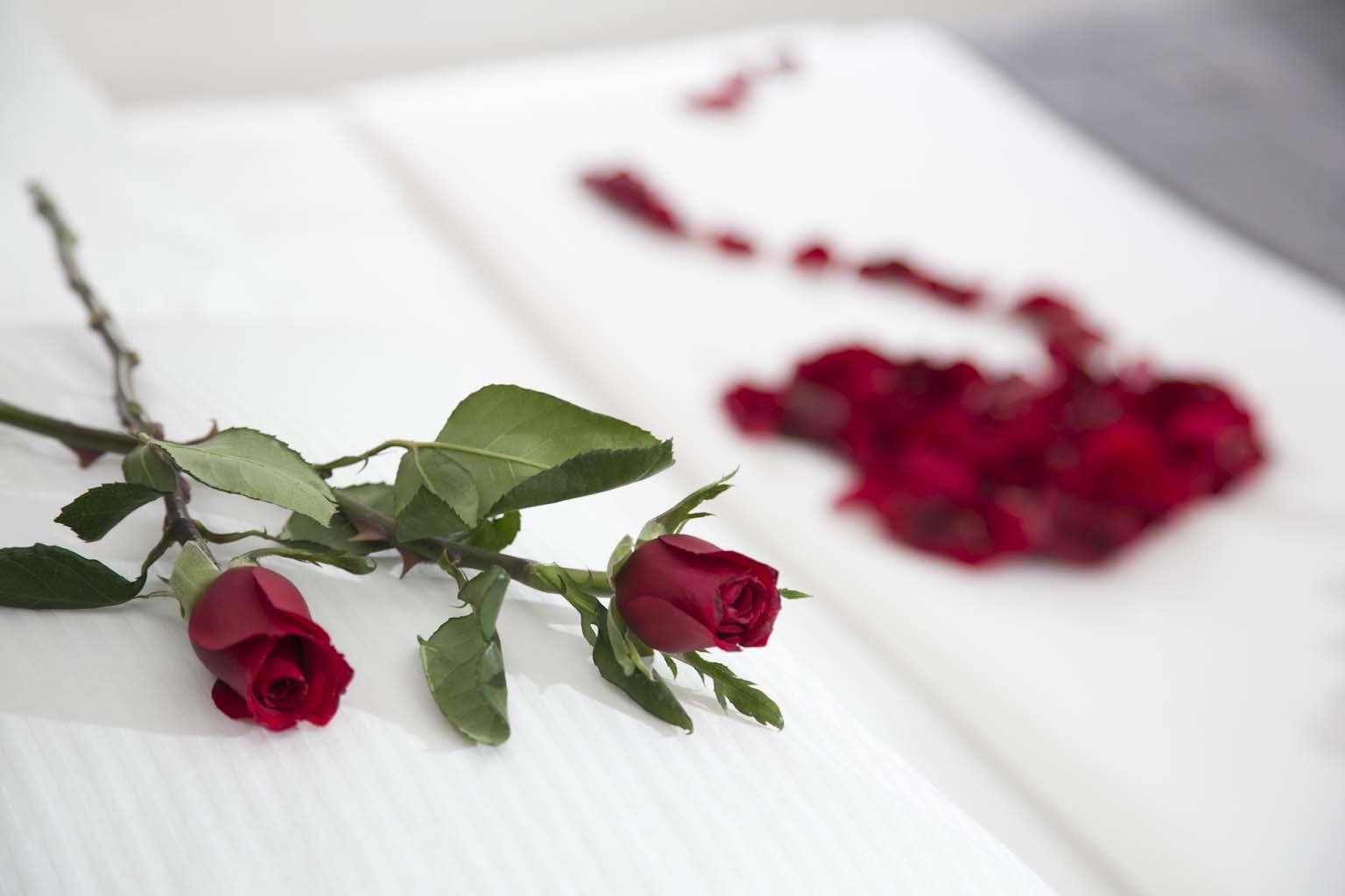 Buganvillas Hotel Suites and Spa