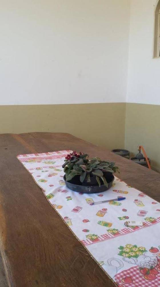 Flor Do Paraiso