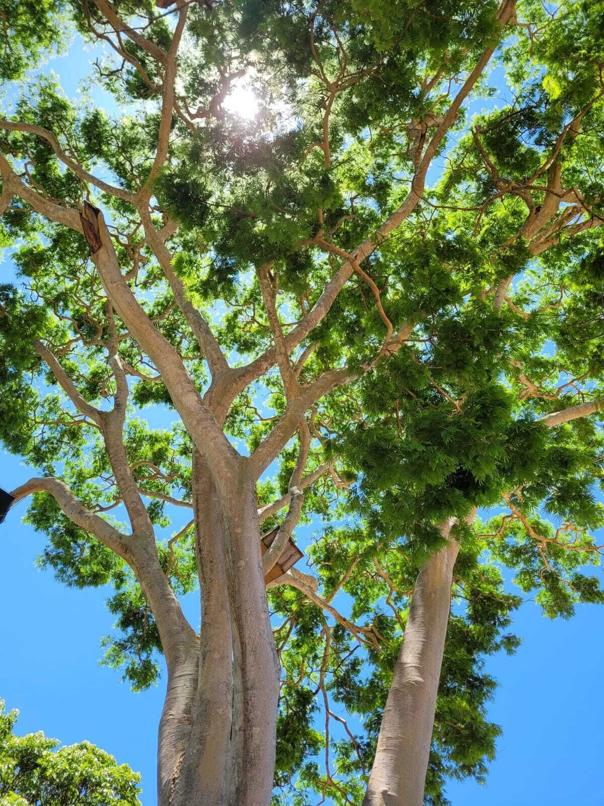 Pousada Rancho Bonito