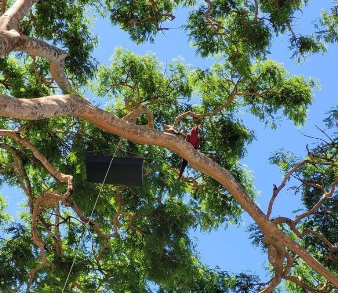 Pousada Rancho Bonito
