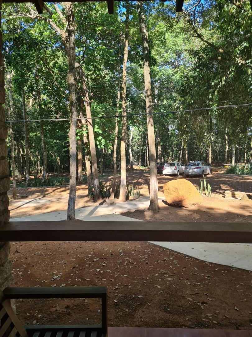 Bosque São Francisco