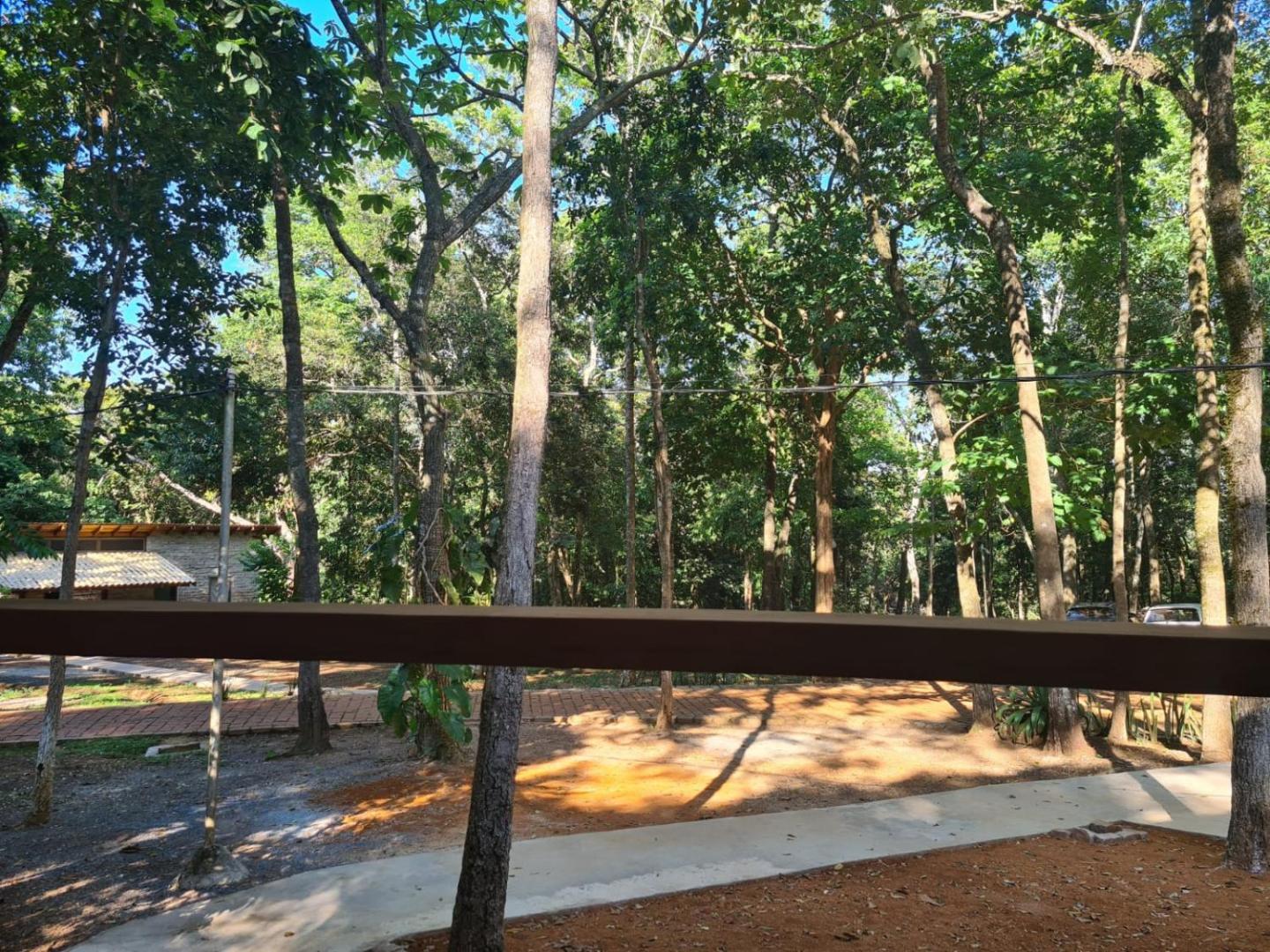 Bosque São Francisco